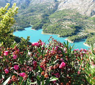 Blue lagoon feeling , i never forget