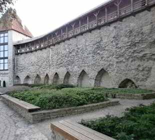 Сад датского короля летом