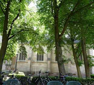 Gasthaus Orthus hinter Ida-Kirche