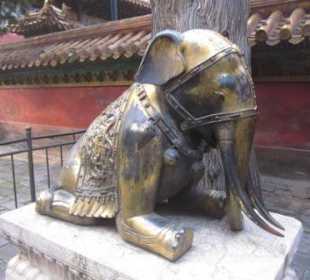 Fußlahmer Elefant, fußlahmer Besucher