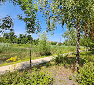 Naturschutzgebiet Grube Reden in Schiffweiler