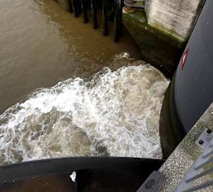 Öffnung der Spülmuscheln