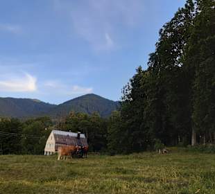 Wandern Bad Kohlgrub