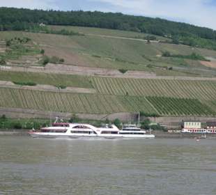 Fähre Bingen-Rüdesheim-Bingen