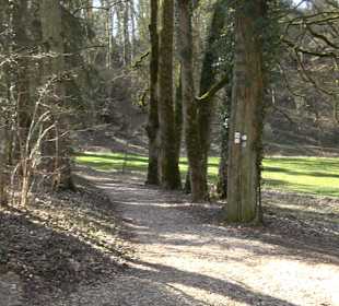 Klosterfelsenweg
