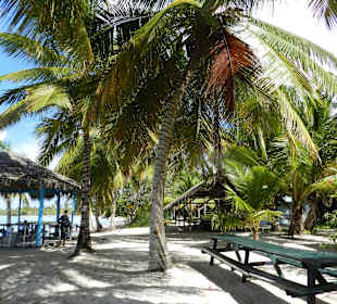 Isla Saona