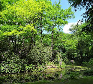 Am See des Hirschparks