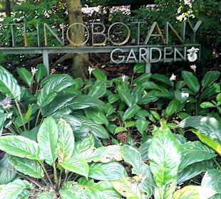 Botanischer Garten
