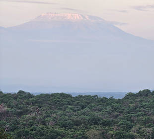 Mt. Kilimanjaro - the highest in Africa