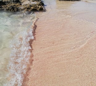 Pink Sand Beach Elafonissi