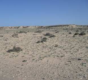 Wanderung an die andere Seite der Insel