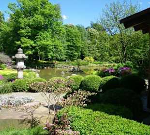 Ogród japoński