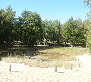 Boberger Niederung