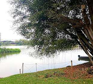 Jurong Lake und Gärten