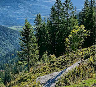 Kampenwand