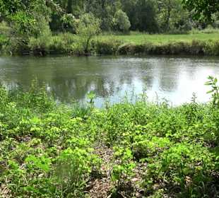 Wanderrunde Emeringen zum Rechtenstein