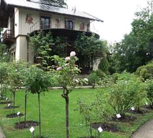 Casino auf der Roseninsel