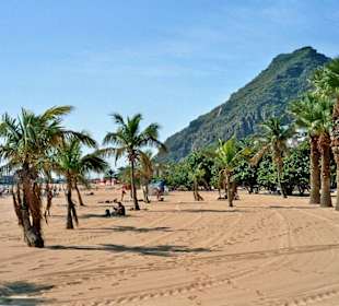 Palmen und Sahara-Sand