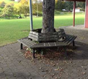 Sportplatz Streichen