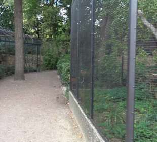 Zoologischer Garten