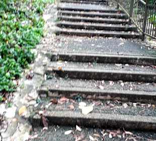 Marang Trail auf den Mount Faber