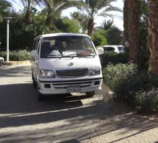 Stadtrundgang El Gouna