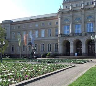 Staatliches Naturkunde Museum
