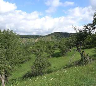 Wanderweg Ammerbucher Gigeleswegle
