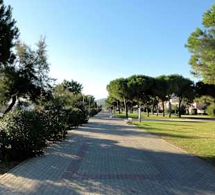 Strandpromenade von Argelés-Plage