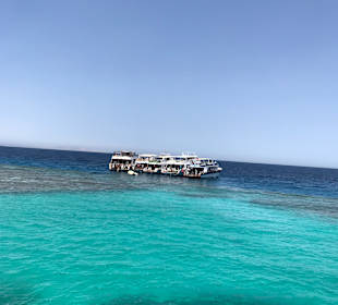 Schnorcheln Sahl Hasheesh