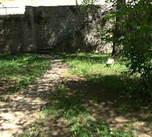 Rosengarten Nördlingen