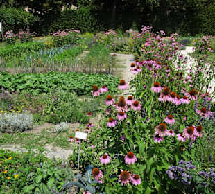 Im Küchengarten des Schlosses Veitshöchheim