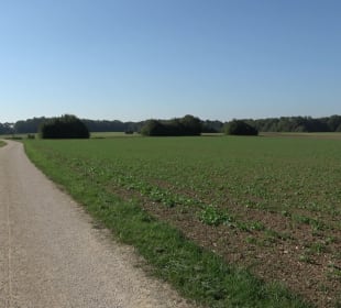 Kelten-Erlebnis-Pfad Erkenbrechtsweiler