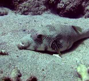 Du regst mich nicht auf