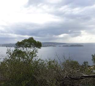 Wanderung Cap Andritxol - Blick nach Santa Ponsa