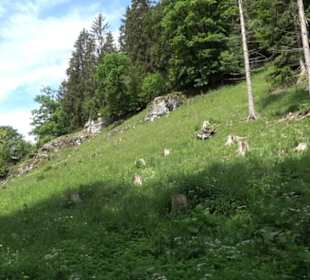 Premiumwanderweg "hochgehackert"