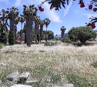 Ausgrabungsgelände Kos