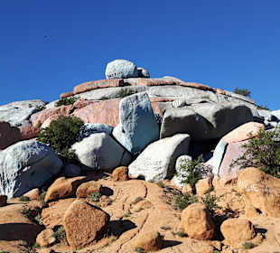 Stadtrundfahrt Agadir