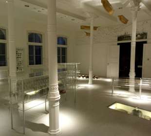 "Küste und Meer" im Landesmuseum