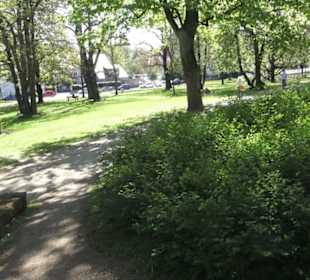 Rheinisches Landesmuseum