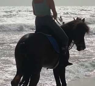 Reiten Mezraya Ranch Midoun
