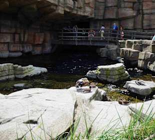 Tierpark Hagenbeck