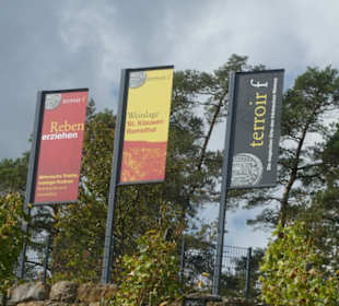 Ramsthal: am terroir f