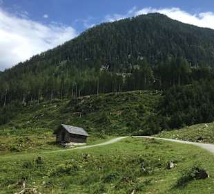 Wandern Wald im Pinzgau