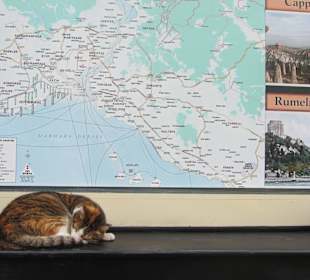 Гид отдыхает