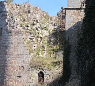 Burgruine Neuscharfeneck