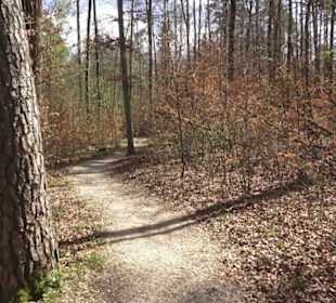 Waldsportpfad im Wasenwald