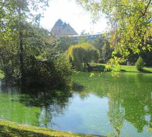 Altstadt Landau Schwanenweiher