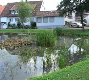 Hüle Zainingen