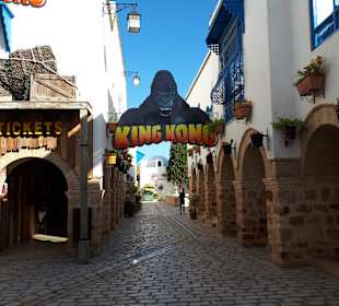 Medina Hammamet-Yasmine